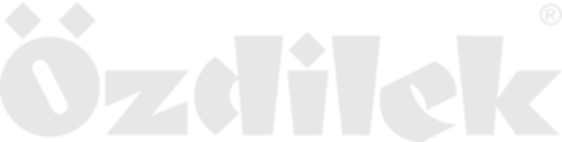Layer 5